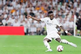 他个人职业 他个人职业